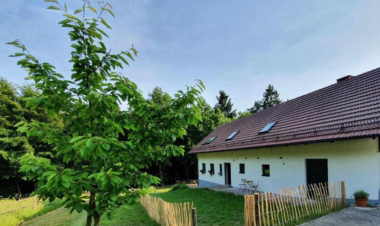 Ferienhaus Am Dachsberg, Bayerischer Wald Apartment Haselbach Exterior photo